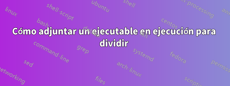 Cómo adjuntar un ejecutable en ejecución para dividir