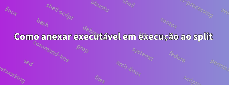 Como anexar executável em execução ao split