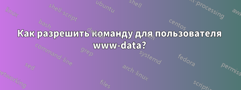 Как разрешить команду для пользователя www-data?