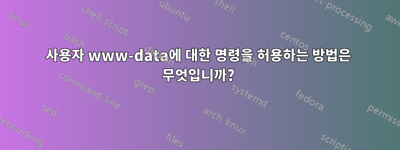 사용자 www-data에 대한 명령을 허용하는 방법은 무엇입니까?