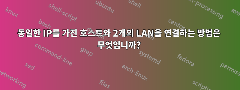 동일한 IP를 가진 호스트와 2개의 LAN을 연결하는 방법은 무엇입니까?