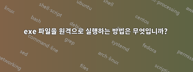 exe 파일을 원격으로 실행하는 방법은 무엇입니까?