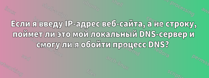 Если я введу IP-адрес веб-сайта, а не строку, поймет ли это мой локальный DNS-сервер и смогу ли я обойти процесс DNS? 