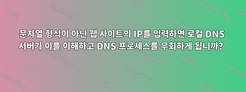 문자열 형식이 아닌 웹 사이트의 IP를 입력하면 로컬 DNS 서버가 이를 이해하고 DNS 프로세스를 우회하게 됩니까? 