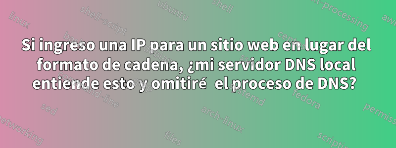 Si ingreso una IP para un sitio web en lugar del formato de cadena, ¿mi servidor DNS local entiende esto y omitiré el proceso de DNS? 