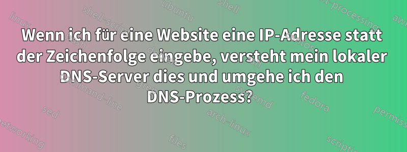 Wenn ich für eine Website eine IP-Adresse statt der Zeichenfolge eingebe, versteht mein lokaler DNS-Server dies und umgehe ich den DNS-Prozess? 