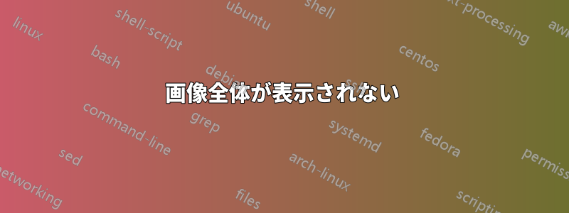 画像全体が表示されない