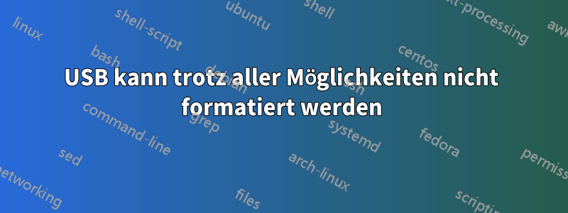 USB kann trotz aller Möglichkeiten nicht formatiert werden