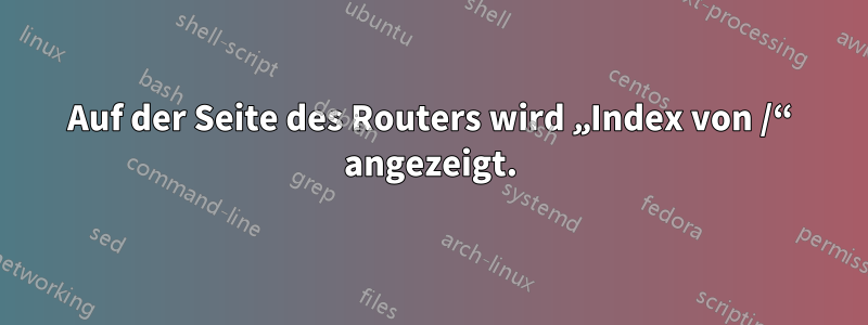 Auf der Seite des Routers wird „Index von /“ angezeigt.