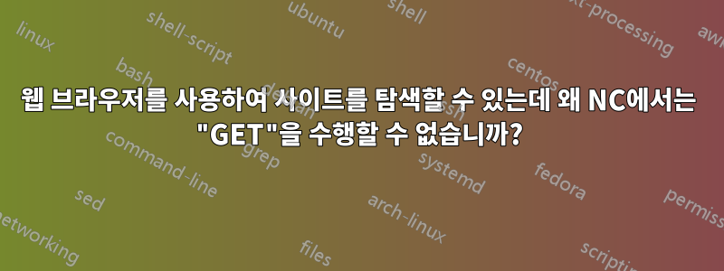 웹 브라우저를 사용하여 사이트를 탐색할 수 있는데 왜 NC에서는 "GET"을 수행할 수 없습니까?