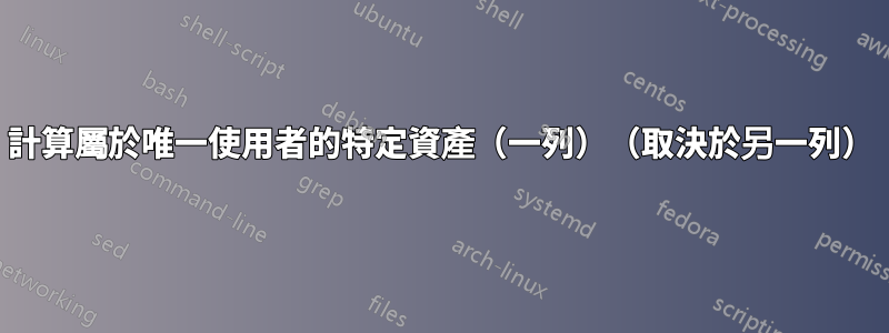 計算屬於唯一使用者的特定資產（一列）（取決於另一列）