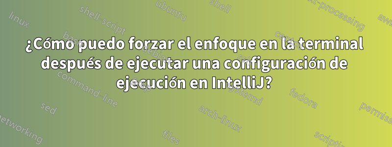 ¿Cómo puedo forzar el enfoque en la terminal después de ejecutar una configuración de ejecución en IntelliJ?