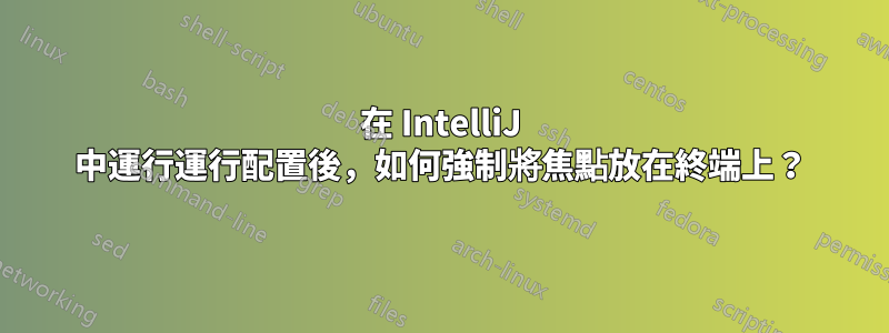 在 IntelliJ 中運行運行配置後，如何強制將焦點放在終端上？