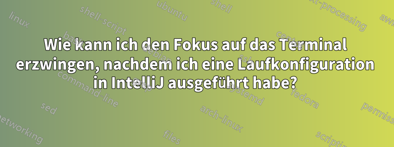 Wie kann ich den Fokus auf das Terminal erzwingen, nachdem ich eine Laufkonfiguration in IntelliJ ausgeführt habe?