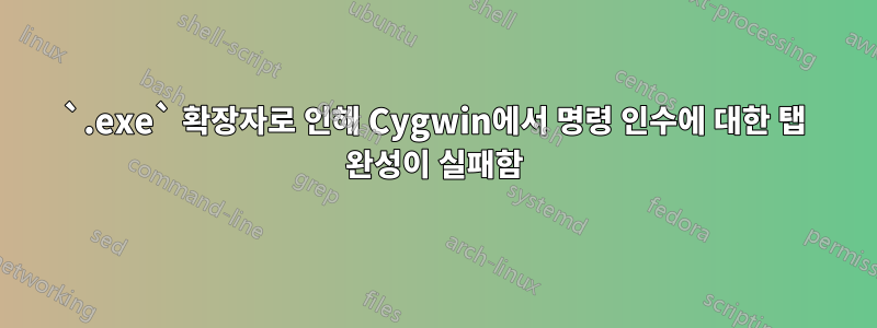 `.exe` 확장자로 인해 Cygwin에서 명령 인수에 대한 탭 완성이 실패함
