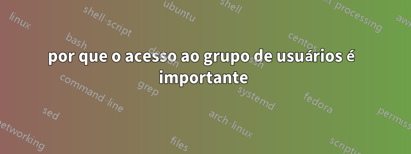 por que o acesso ao grupo de usuários é importante
