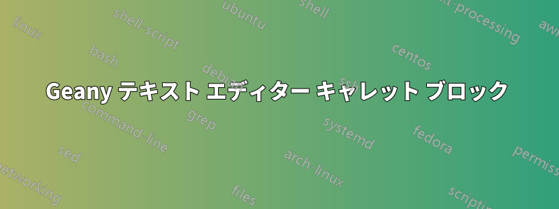 Geany テキスト エディター キャレット ブロック