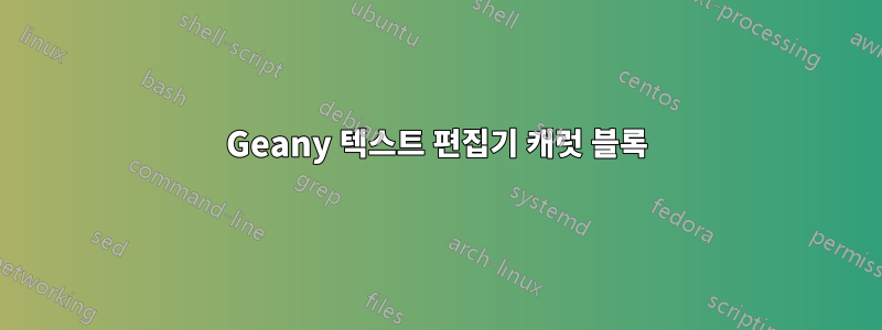 Geany 텍스트 편집기 캐럿 블록