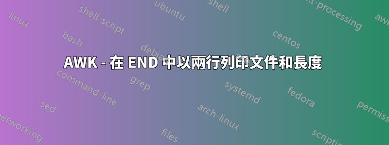 AWK - 在 END 中以兩行列印文件和長度