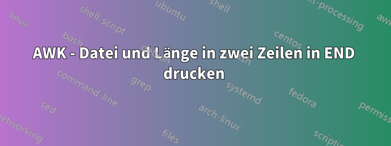 AWK - Datei und Länge in zwei Zeilen in END drucken