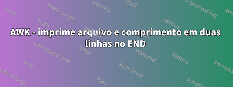 AWK - imprime arquivo e comprimento em duas linhas no END