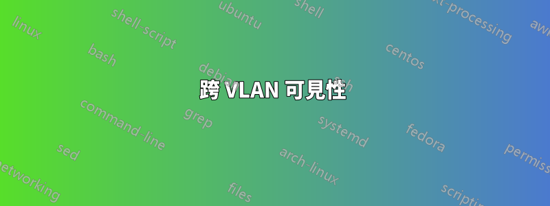 跨 VLAN 可見性