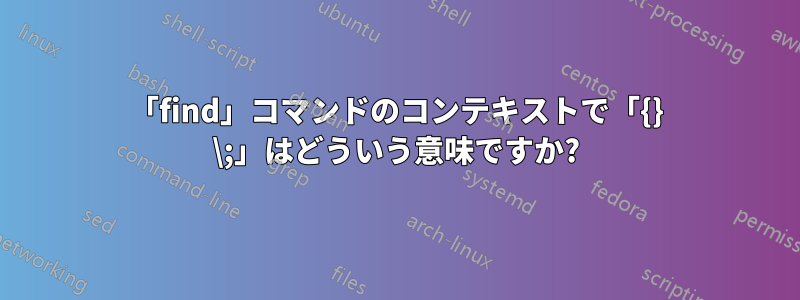 「find」コマンドのコンテキストで「{} \;」はどういう意味ですか?