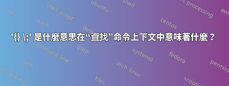 '{} \;' 是什麼意思在“查找”命令上下文中意味著什麼？