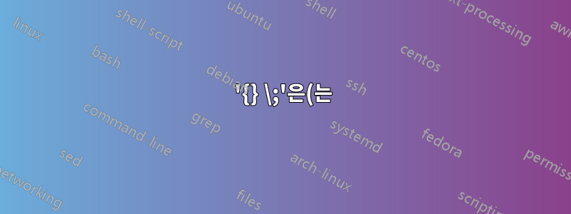'{} \;'은(는) 무슨 뜻인가요? 'find' 명령 컨텍스트에서 의미하는 것은 무엇입니까?