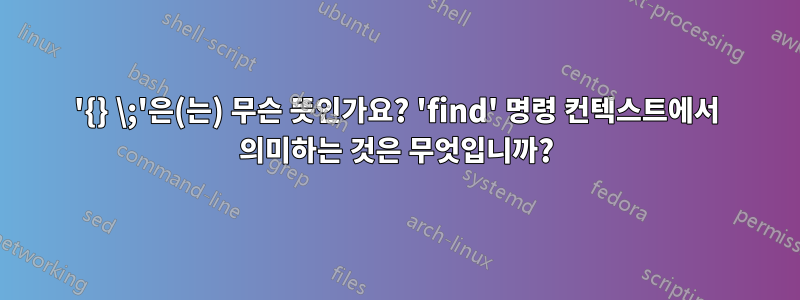 '{} \;'은(는) 무슨 뜻인가요? 'find' 명령 컨텍스트에서 의미하는 것은 무엇입니까?