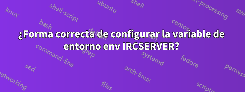 ¿Forma correcta de configurar la variable de entorno env IRCSERVER?