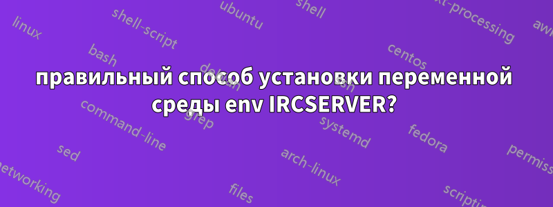 правильный способ установки переменной среды env IRCSERVER?