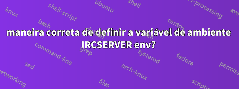 maneira correta de definir a variável de ambiente IRCSERVER env?