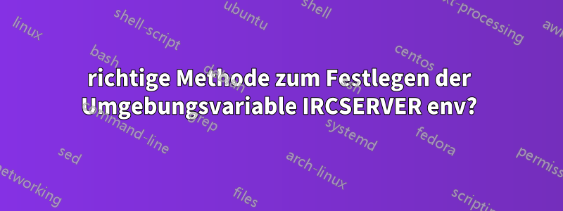 richtige Methode zum Festlegen der Umgebungsvariable IRCSERVER env?