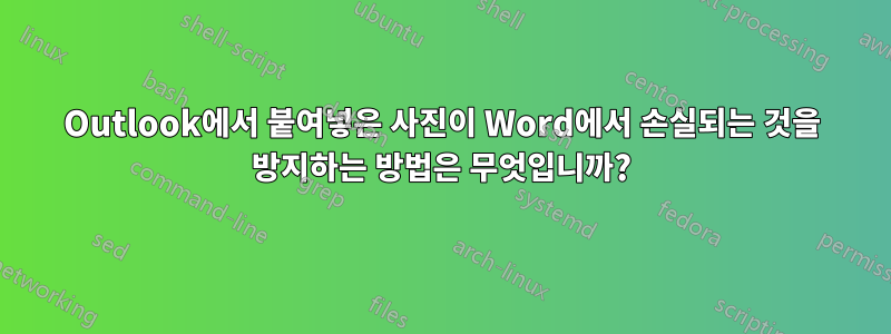 Outlook에서 붙여넣은 사진이 Word에서 손실되는 것을 방지하는 방법은 무엇입니까?