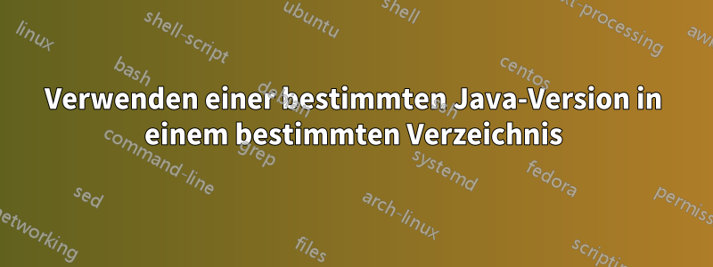 Verwenden einer bestimmten Java-Version in einem bestimmten Verzeichnis
