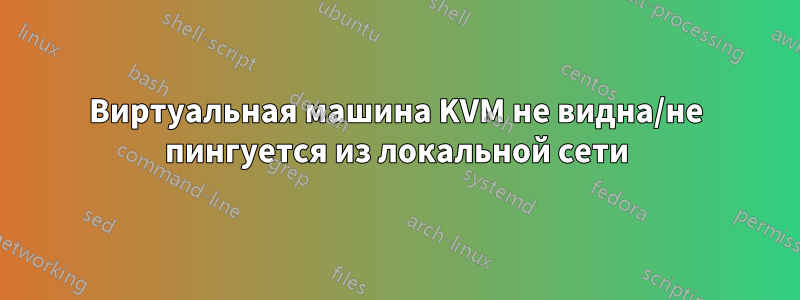Виртуальная машина KVM не видна/не пингуется из локальной сети