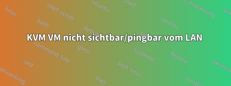 KVM VM nicht sichtbar/pingbar vom LAN