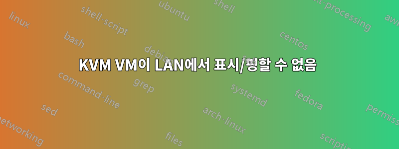 KVM VM이 LAN에서 표시/핑할 수 없음