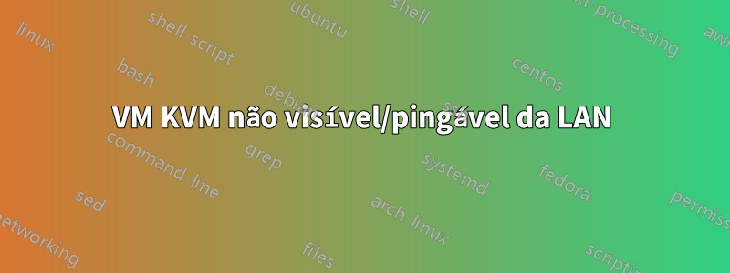 VM KVM não visível/pingável da LAN