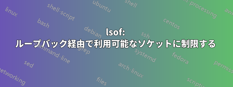 lsof: ループバック経由で利用可能なソケットに制限する