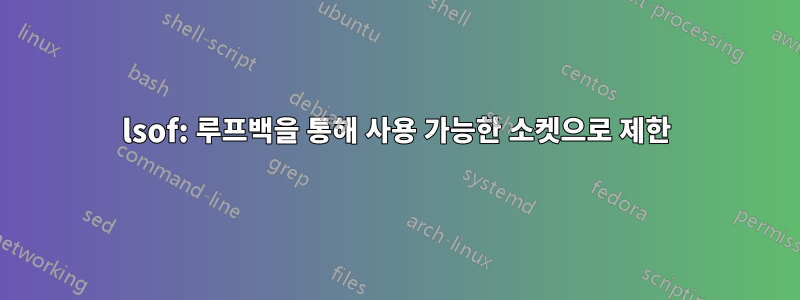 lsof: 루프백을 통해 사용 가능한 소켓으로 제한