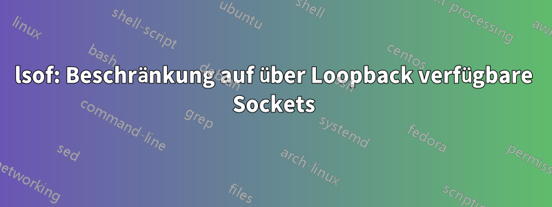 lsof: Beschränkung auf über Loopback verfügbare Sockets