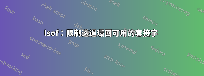 lsof：限制透過環回可用的套接字