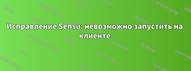 Исправление Sensu: невозможно запустить на клиенте