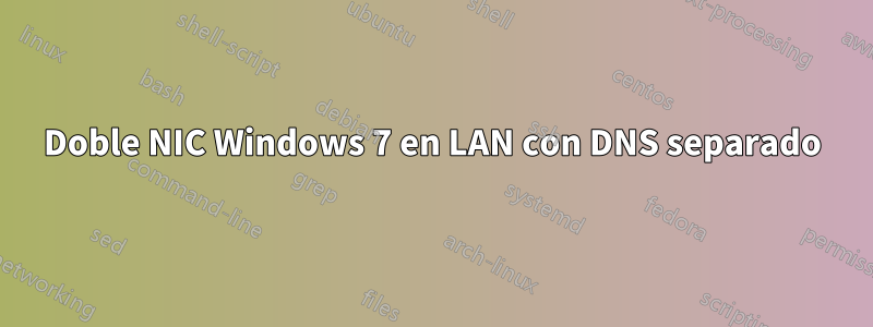 Doble NIC Windows 7 en LAN con DNS separado