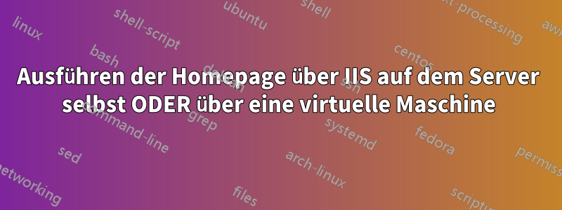 Ausführen der Homepage über IIS auf dem Server selbst ODER über eine virtuelle Maschine