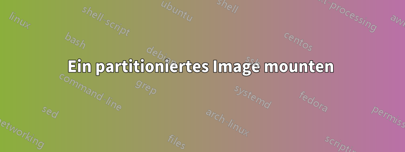 Ein partitioniertes Image mounten