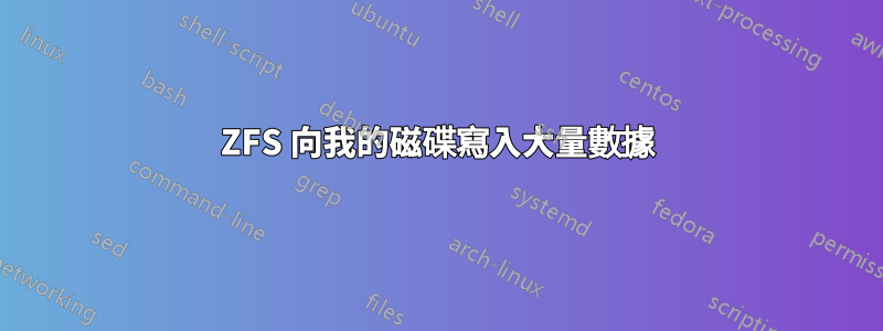 ZFS 向我的磁碟寫入大量數據