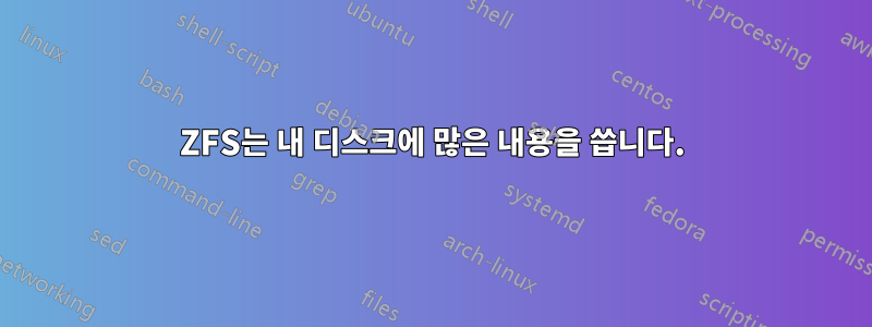 ZFS는 내 디스크에 많은 내용을 씁니다.